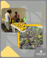 <strong>Leia mais sobre</strong><br />SOLIDARIZE! O Projeto Inclusão recebeu uma doação de R$ 1.600, revertida dos cursos PV*SOL SOLIDARIZE! O Projeto Inclusão recebeu uma doação de R$ 1.600, revertida dos cursos PV*SOL